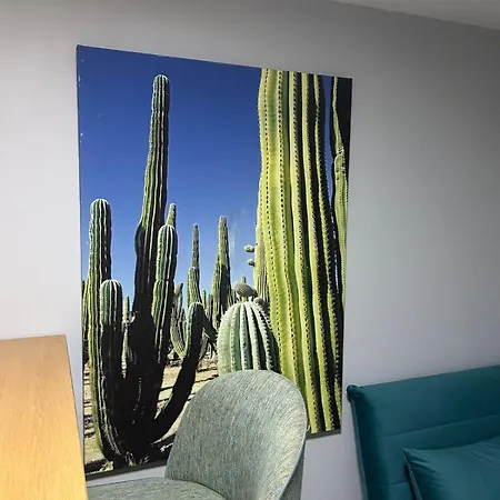 Le Petit Ocean - Trio Apartment *